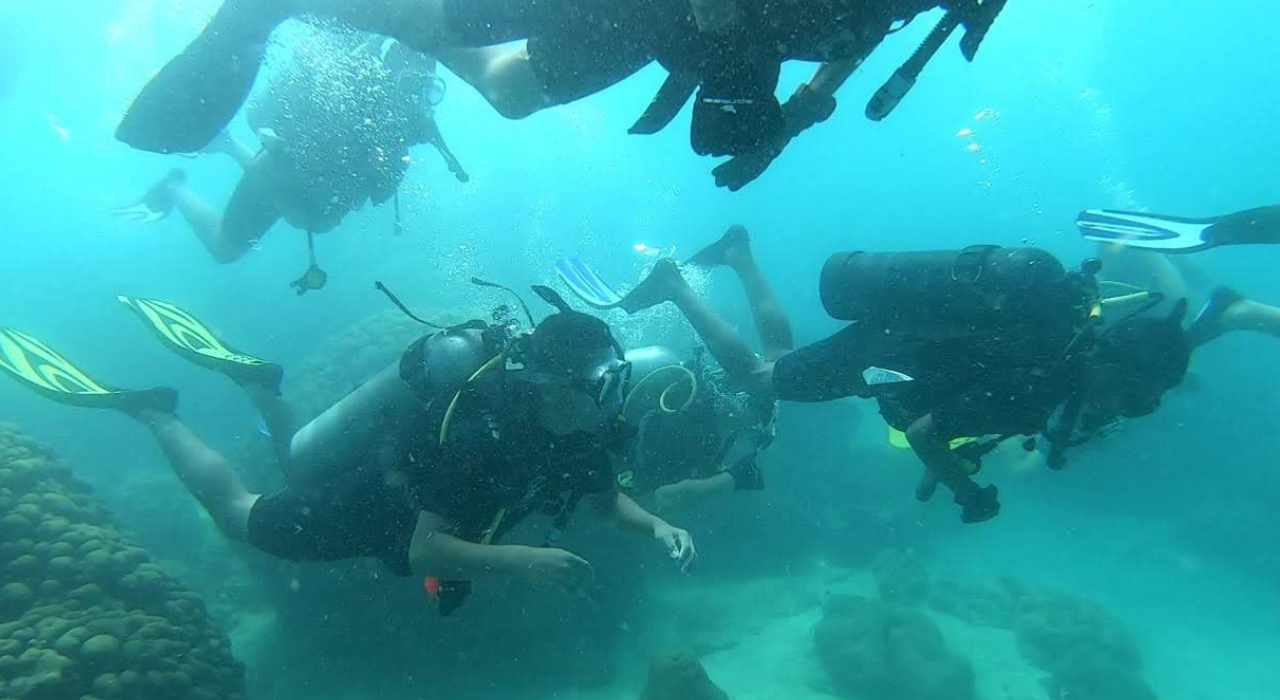 buceo9